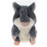 Talking Hamster