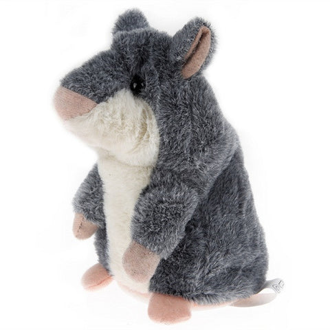 Talking Hamster